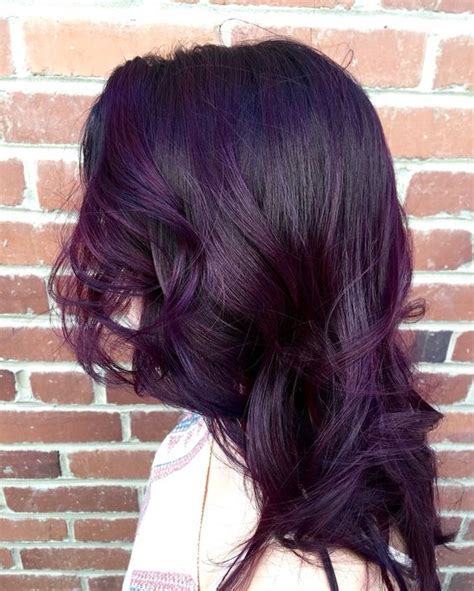 Eggplant Purple Hair