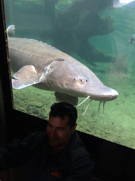 National Seminar – Class XV – May 27 – Fish Hatcheries and Dam