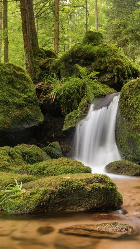 Gertelbach Falls In The Black Forest Germany Backiee