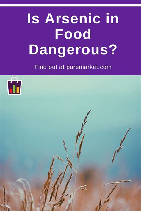 is arsenic in food dangerous pure market food dangerous arsenic