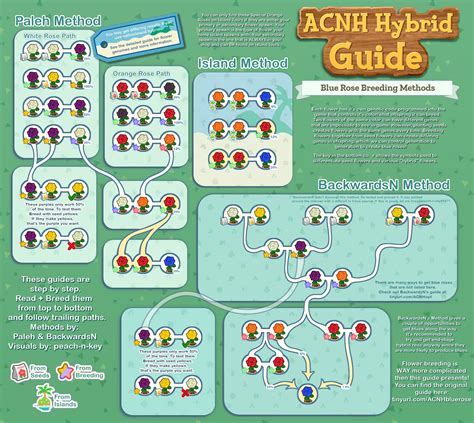 Created a Blue Rose Breeding Infographic! This shows multiple different