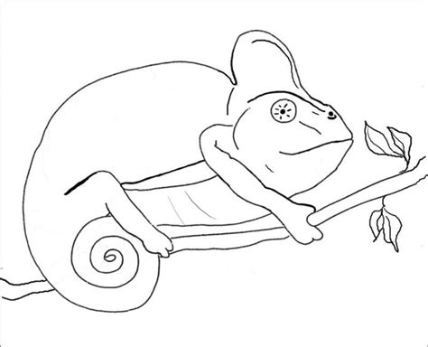 These no prep kindergarten worksheets simply download pdf file with color worksheets for preschool and kindergarten and you are ready to play and learn! Chameleon Coloring Page - Coloring Home