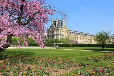 Spring In Paris France Stock Image Image Of Bright 19406115
