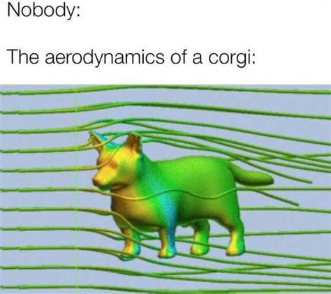 Aerodynamics Of A Corgi Rcorgi