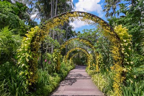 The Worlds Best Orchid Gardens In The Tropics Tropical House And Garden