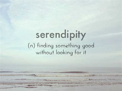 The Nicest Pictures Serendipity