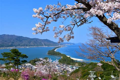 Experience The Stunning Winter Scenery Of Amanohashidate With A Birds