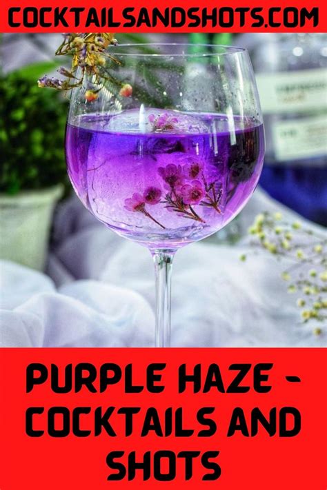 How To Make The Purple Haze Shot Summer Drinks Alcohol Christmas