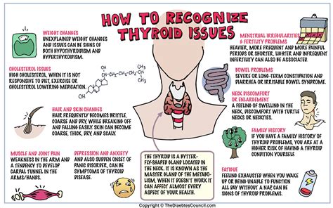 The Relationship Between Diabetes And Thyroid Disorder