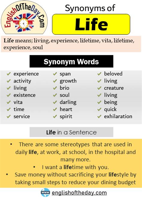 Another Word For Life Synonyms Of Life Experience Activity Living