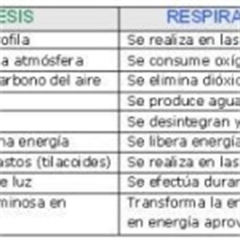 Cuadros Comparativos Entre La Fotos Ntesis Y La Quimis Ntesis Cuadro