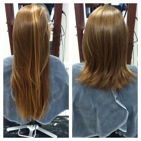 What Is The Difference Between A Cut And Trim North Andover Ma Nova