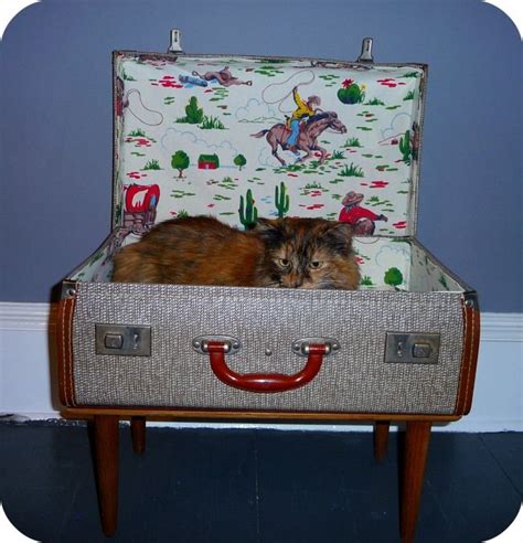 Cat Suitcase Bed Complete With Grumpy Looking Cat Conversation