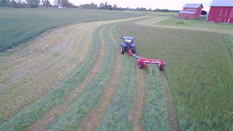 Cutting Hay With New Holland Youtube