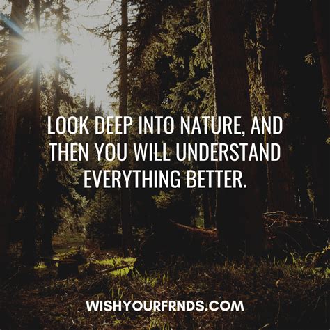 Quotes On Nature Beauty With Images Wish Your Friends
