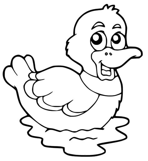 Patinho Colorido Para Colorir