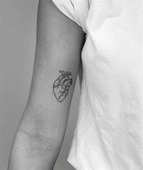 Fine Line Anatomical Heart Tattoo Located On The Inner