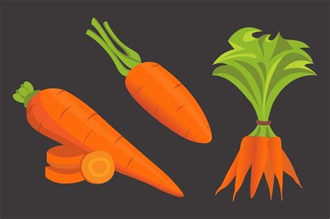 Premium Vector Set Carrot Illustration Sliced Fresh Carrot