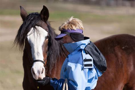 “click” With Your Horse The Basics On Clicker Training