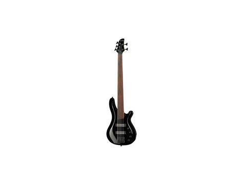 Harley Benton B 550fl 5 String Fretless Bass Guitar Reviews And Prices