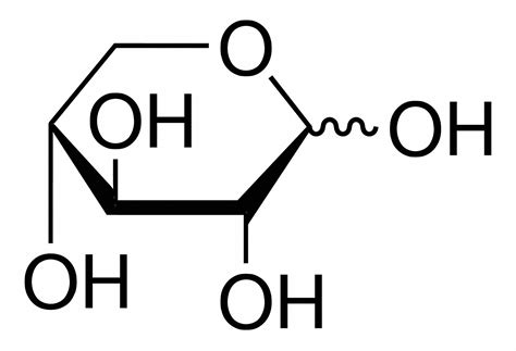 Sigma Aldrich Dxylose Contains 500g Cas 58 86 6 45zf16x1500
