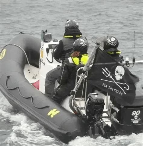 Sea Shepherd Sweden