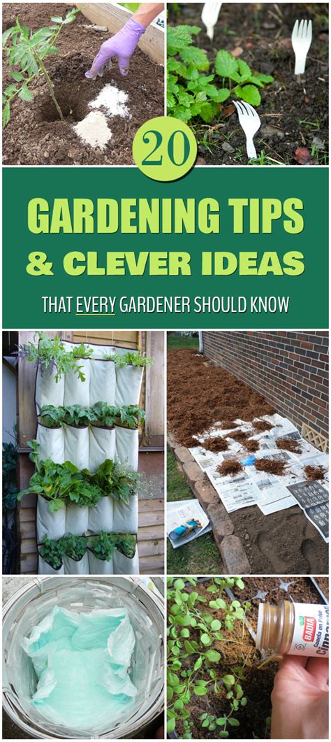 20 Gardening Tips And Clever Ideas That Every Gardener Should Know