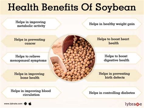 Nutritional Benefits Of Soy Milk Runners High Nutrition