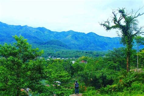 Tujuh Destinasi Wisata Yang Menarik Di Kota Pemalang Kaskus