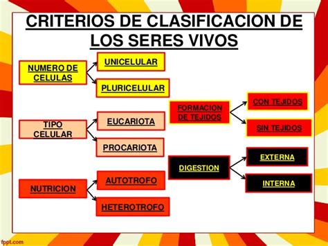 BiologÍa ClasificaciÓn De Los Seres Vivos