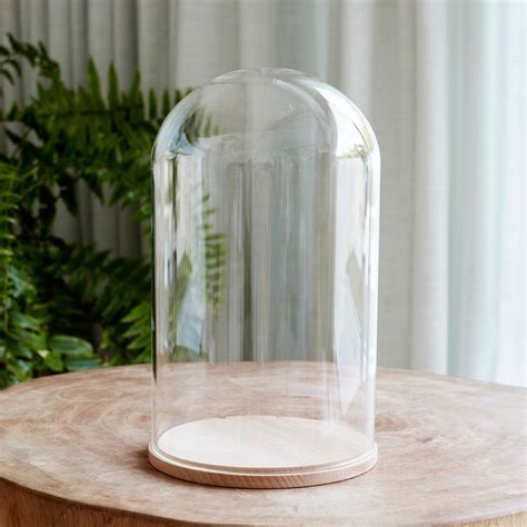 Buy Lights4fun Large Glass Bell Jar Dome With Natural Wood Base Glass