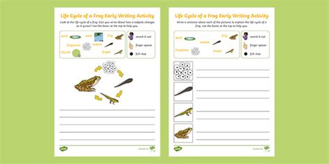 Life Cycle of a Frog Early Writing Activities
