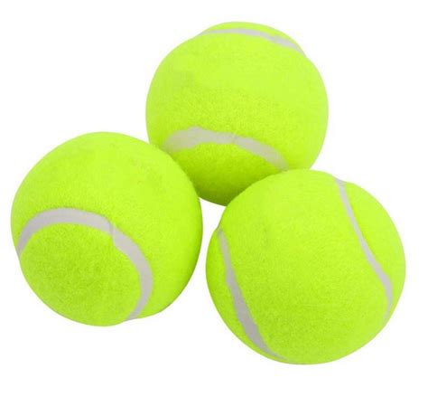 Extra Large Tennis Balls 3 Pack New Mexico Biopark Society