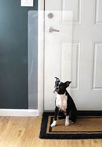 Door Scratch Protector For Dogs The Best Solutions Stop That Dog