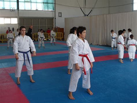 Associação Karate Shotokan Trancoso Novembro 2011