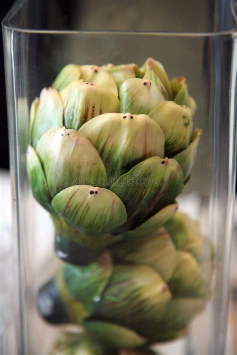 Artichokes In A Glass Jar Stock Image Image Of Plant 4331399