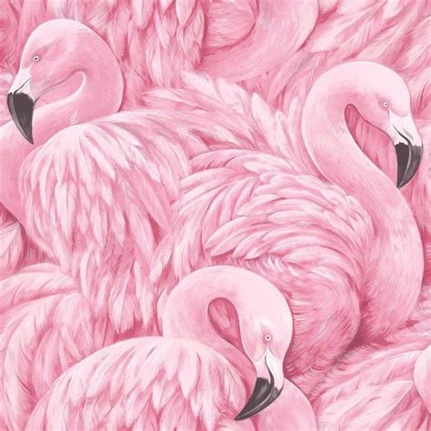 Pink Flamingo Pink Flamingo Wallpaper Flamingo Wallpaper Pink Wallpaper