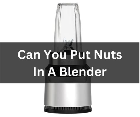 Can You Put Nuts In A Blender Appliances Bank
