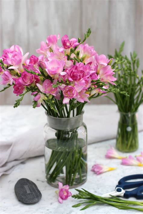 Of Spring And Summer A Bunch For The Weekend 81 Pink Freesia