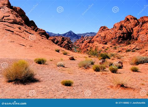 Nevada Desert Stock Photography Image 37118882