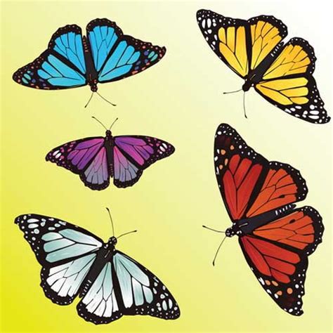 Butterfly Clip Art 56 Vector Graphics For Nature And
