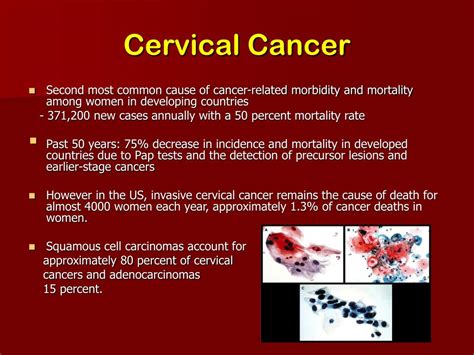 Ppt Screening For Cervical Cancer Powerpoint Presentation Free