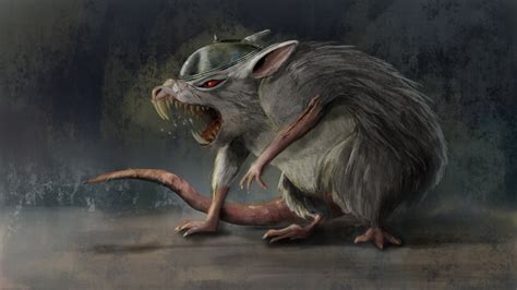 Art Oc Meet Haşmet The Giant Rat My Lovely Companion Rdnd