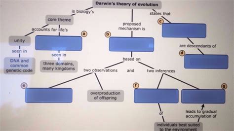 Darwins Theory Of Evolution Diagram Quizlet