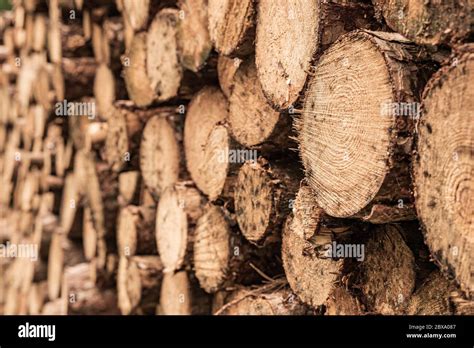 Stacked Wood Timber Construction Background Hi Res Stock Photography