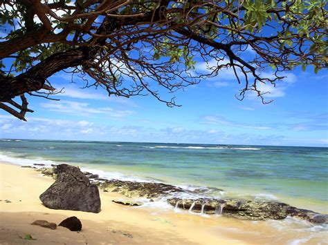 Perfect screen background display for desktop, iphone, pc, laptop, computer, android phone, smartphone, imac, macbook, tablet, mobile device. Tropical Beach High Resolution Wallpapers HD / Desktop and Mobile Backgrounds