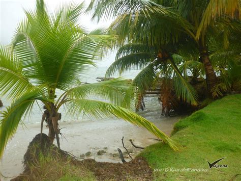 Playa Boca Del Drago Viajenda Panamá
