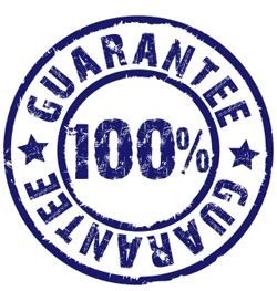 Proud to be the customer's choice for pest control in grants pass, oregon. Dangerous Oregon Spiders - The Big Three