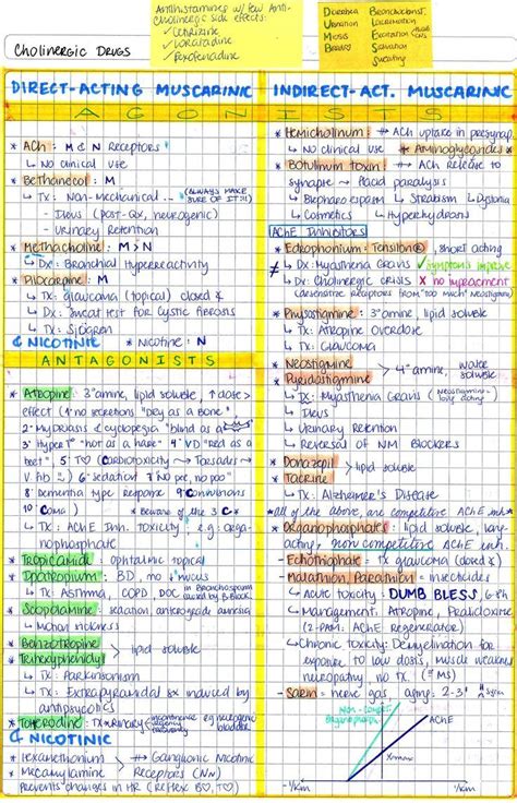 My Notes For Usmle Nursing School Studying Nursing School Notes
