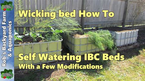 Follow the steps and images below to see how we set up our new wicking bed. Self watering Wicking bed, IBC beds with a few ...